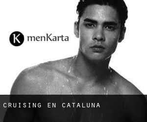 foro cruising gay|Cataluña.